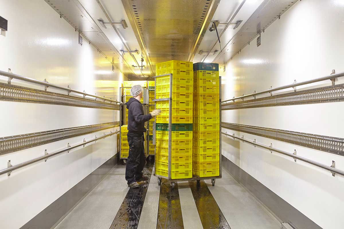 Broeierij Lafaut Fotografie